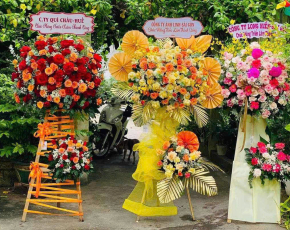 Shop Hoa Tươi Thủ Dầu Một Bình Dương