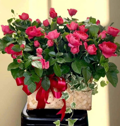 Shop Hoa Tươi Bình Dương