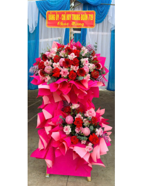 HOA KHAI TRƯƠNG MẪU 11