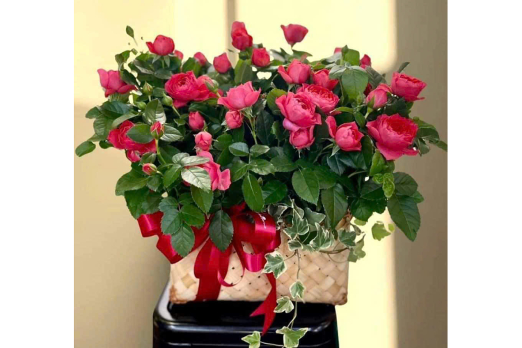 GIỎ HOA MẪU 24